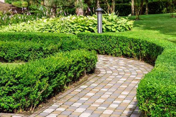 Paved Landscaping in Prescott