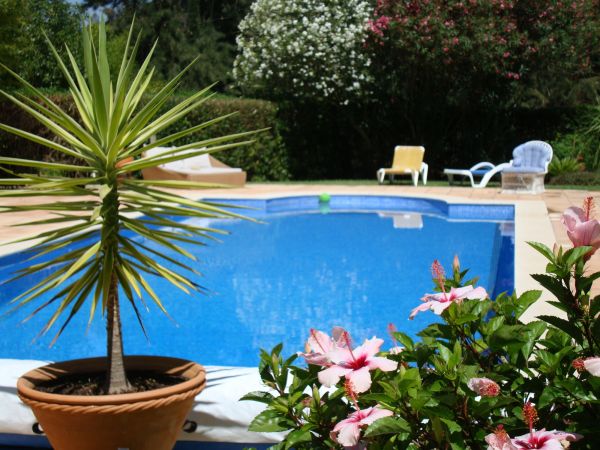 Pool Terrace Renovation in Prescott